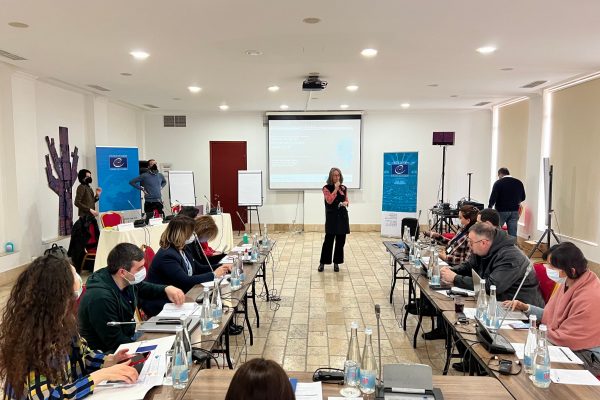 Training on the Civic Participation in Georgia